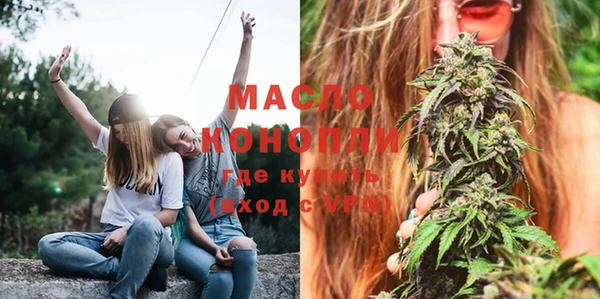 сатива Бронницы