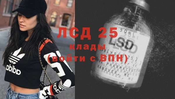 сатива Бронницы